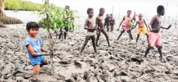 Semangat Generasi Muda Saat Menanam Pohon Mangrove di Pesisir Kampug Yepem Distrik Agats,Kabupaten Asmat Provinsi Papua (Foto: Ist.)