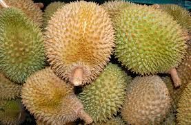 Ilustrasi buah durian. Sumber foto: Flickr.com