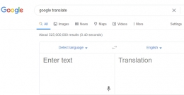 Tangkapan gambar dari Google Translate