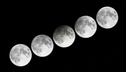 Fase gerhana bulan penumbra pada 28 November 2012 (skyandtelescope.org/Hoin Kong Space Museum)