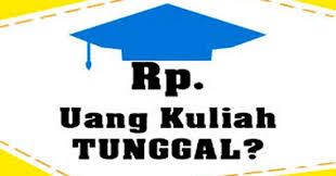 Biaya UKT saat lulus PTS/PTN. Sumber ilustrasi:https://www.pendaftaran.net