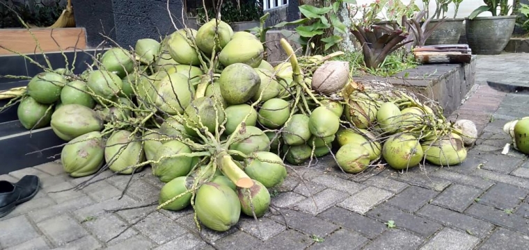 dokumen pribadi