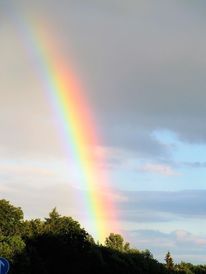 Regenbogen (Bild: KunstNet)