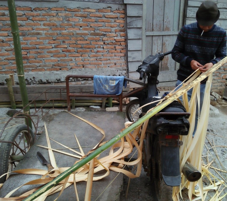 Helai daun janur pohon aren yang dibersihkan dari tangkai (Dokpri)