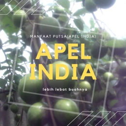 Apel India