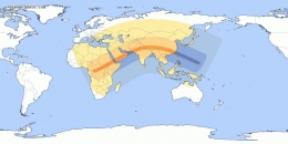 Peta jalur gerhana matahari cincin dan gerhana matahari sebagian 21 Juni 2020 (timeanddate.com)