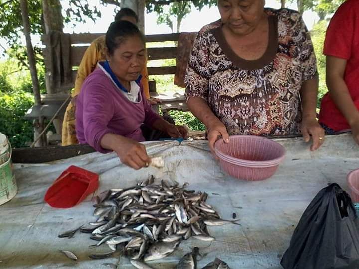 Lapak pedagang ikan Seluang dan Lambak di kawasan Buluran, Kota Jambi./foto : Elvidayanty.