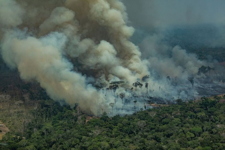 Illustration Picture. The Brazilian Amazon burns in the state of Rondnia in 2019. Image  Victor Moriyama/Greenpeace.