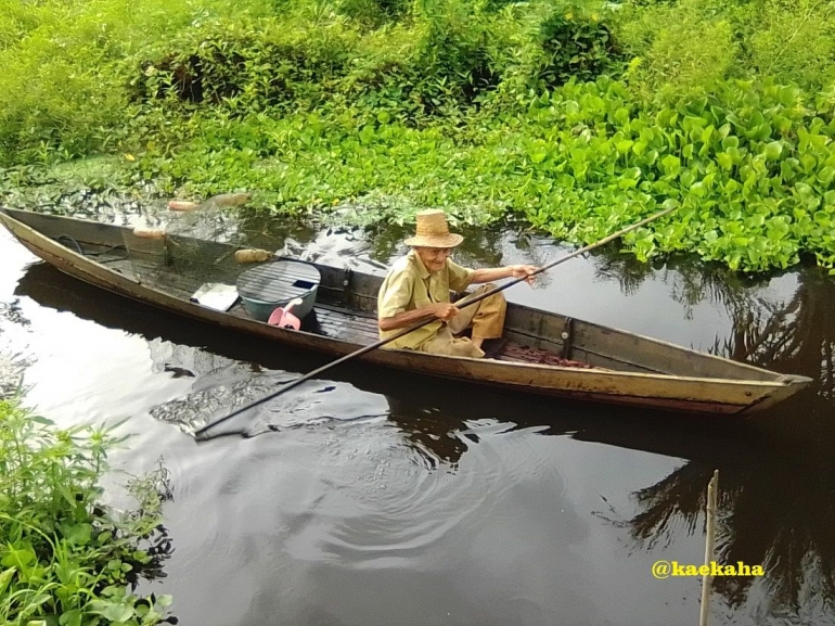 Bajukung Mencari dan Memanen Ikan di Sungai/Rawa | @kaekaha