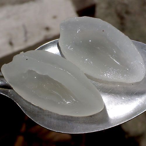 Mengenal Tanaman Nipah Dan Potensinya Yang Kurang Dilirik Oleh Sarianto Togatorop Kompasiana Com