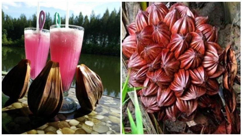 Jus Buah Nipah (sumber: tribunnews.com)