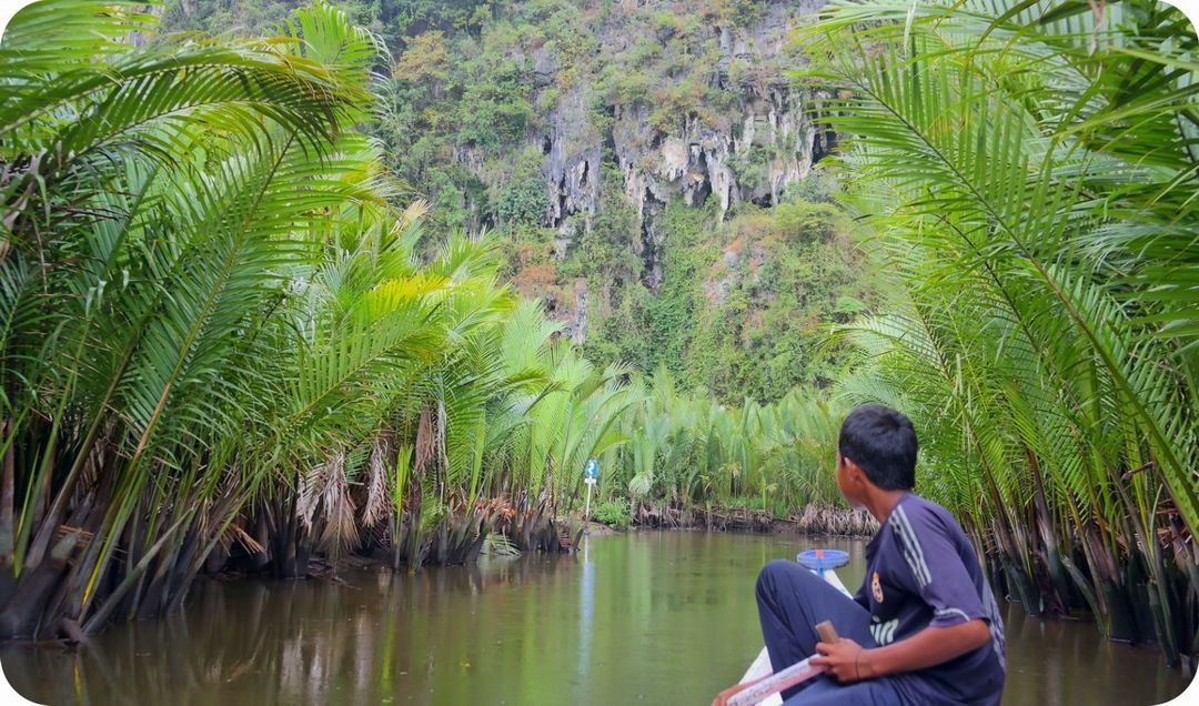 Tanaman Nipah di tepian sungai (sumber: rimbakita.com)