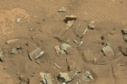 Gambar batuan Mars yang mirip tulang manusia. Gambar ini diambil Curiosity Rover NASA melalui MastCam pada 14 Agustus 2014.Foto : (NASA/JPL-Caltech/MSSS)