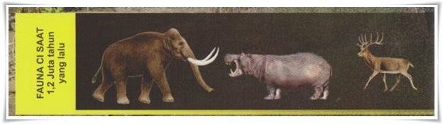 Gajah purba dan beberapa vertebrata (Dok. Buku Bumiayu-Prupuk-Semedo)