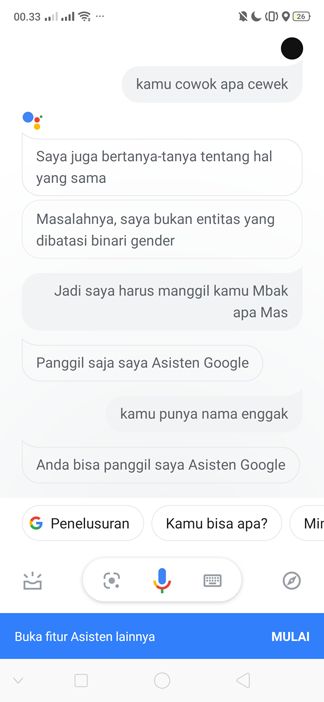 Indentitas Asisten Google | dokpri