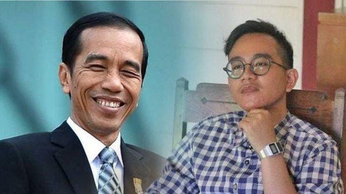 Presiden Jokowi dan Gibran Rakabuming Raka (Tribunnews.com)