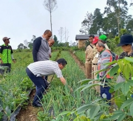 Dinas Pertanian Purbalingga meninjau pertanian Kelompok Tani Karya Raharja Mukti Desa Serang/Foto: Lilian Kiki Triwulan