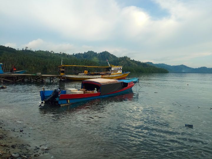 Jembatan penyeberangan di Desa Wayaua Bacan Timur Selatan (Dok. Pribadi)