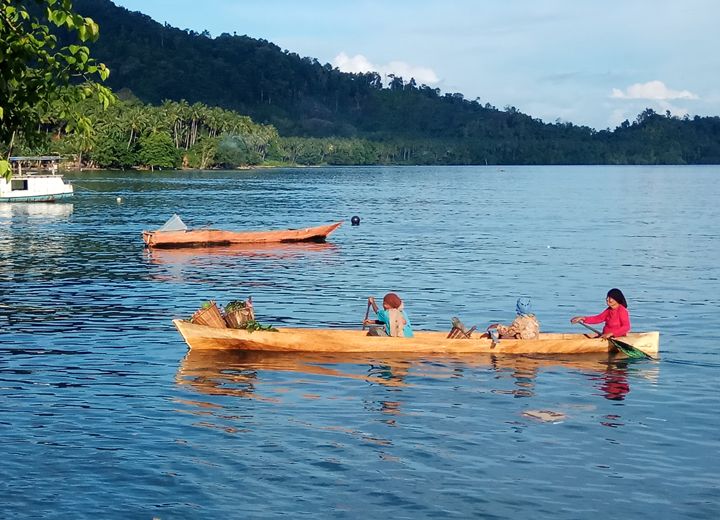 Ibu-ibu mendayung perahu, saat pulang dari kebun (Dok. Pribadi)