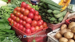 Kenali Karakter dan Jenis Sayuran | Foto: Indria Salim