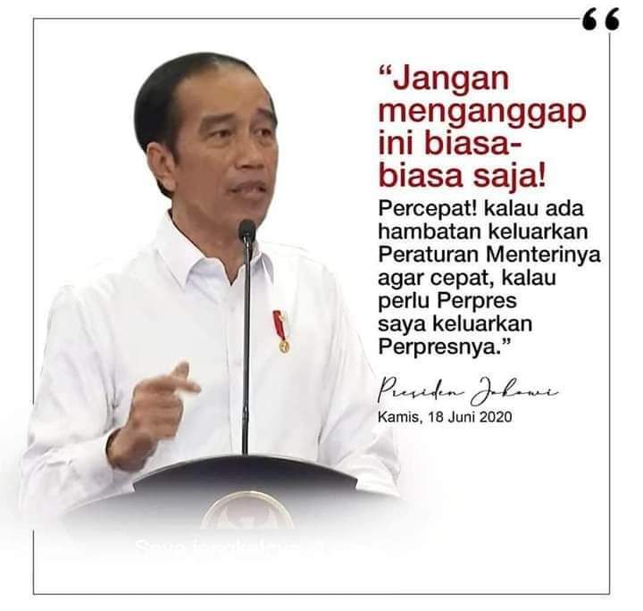 Dok.sekneg