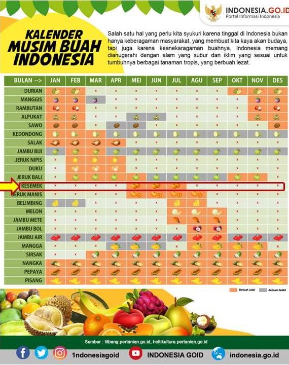 Musim buah Kesemek (sumber: indonesia.go.id)