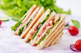 ilustrasi  sandwich (sumber gambar: www.vaya.in)