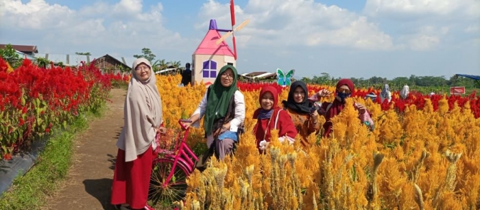 Ket. poto: banyak spot poto menarik di tengah hamparan celosia | dokpri