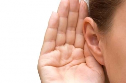 Telinga Mendengar, Sumber:https://www.alodokter.com