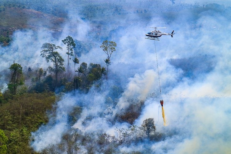 Ilustrasi water bombing dalam upaya pemadaman kebakaran hutan.(SHUTTERSTOCK.com/AKHMAD FAUZI NURULHAMZAH)