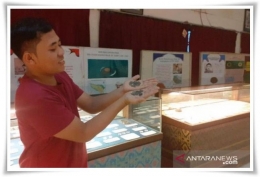 Staf Museum Uang Sumatera di Medan memperlihatkan koin kuno masa kerajaan (Foto: Antara)