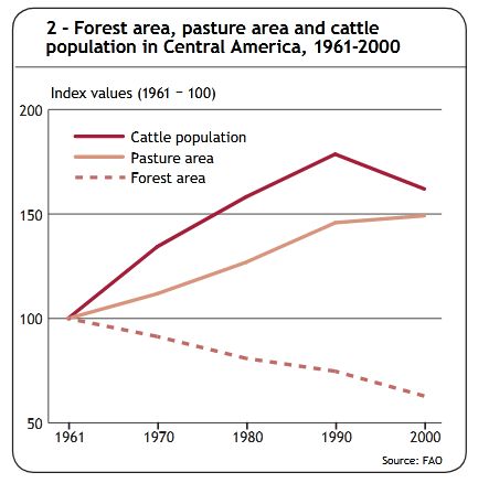 Hutan, Penggembalaan, dan Populasi Sapi di Amerika Tengah | FAO