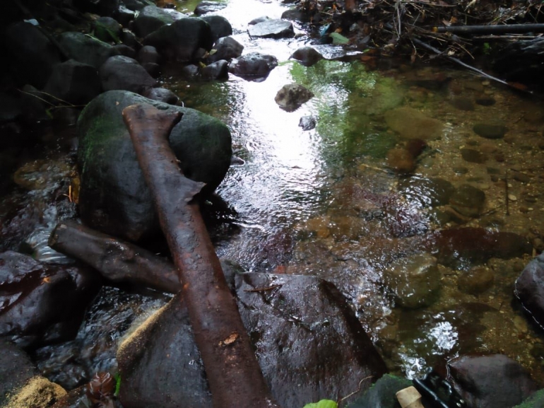 Dahan-dahan kayu yang teronggok di sungai (Dokpri)