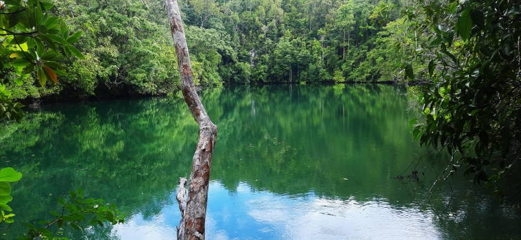 Dokpri (telaga Biru Yenbeser)