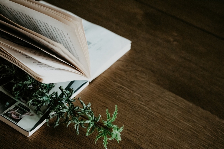 Kebiasaan buruk saat membaca adalah membaca tanpa berpikir. | Sumber: Pixabay/OlyaLole