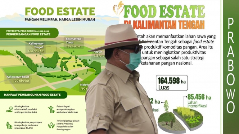 Foto : Strategi Prabowo Bangung Food Estate di Kalimantan Tengah (Dok. Kementan)
