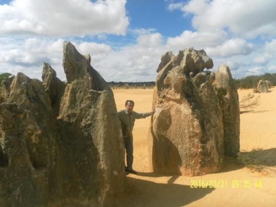 Ket foto::” Pinnacles Limestones Desert” . di Padang pasir Pinnecles/dok pribadi