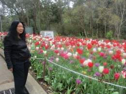 Ker foto :di Araluen ada acara dan festival bunga tulip/dok pribadi