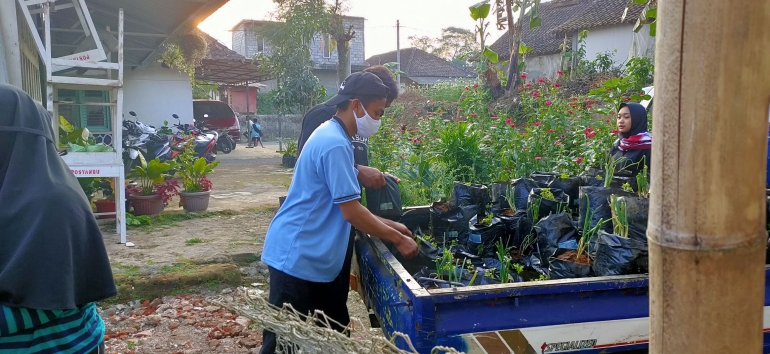 Proses pemindahan bibit darintempat pengembangan ke lokasi P2L Desa Madiredo