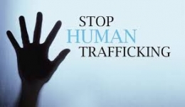 Stop Human Trafficking ( wordpress.com )