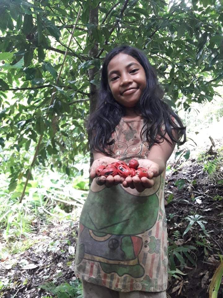 Si gadis dan buah bersejarah (Dokumentasi pribadi)