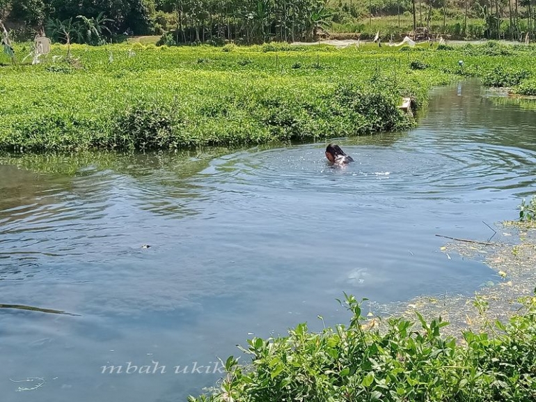 Banowati berendam menenangkan diri. Dokpri