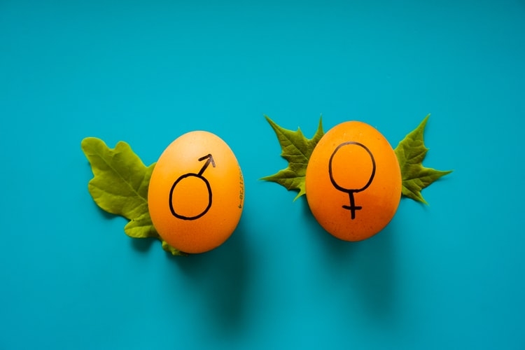 Simbol kesetaraan gender | Photo by Dainis Graveris on Unsplash
