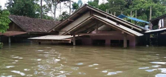 Banjir yang terjadi di Desa Setipayan, Kec. Jelai Hulu Hulu. Foto dok : Bonifasius Rionaldo