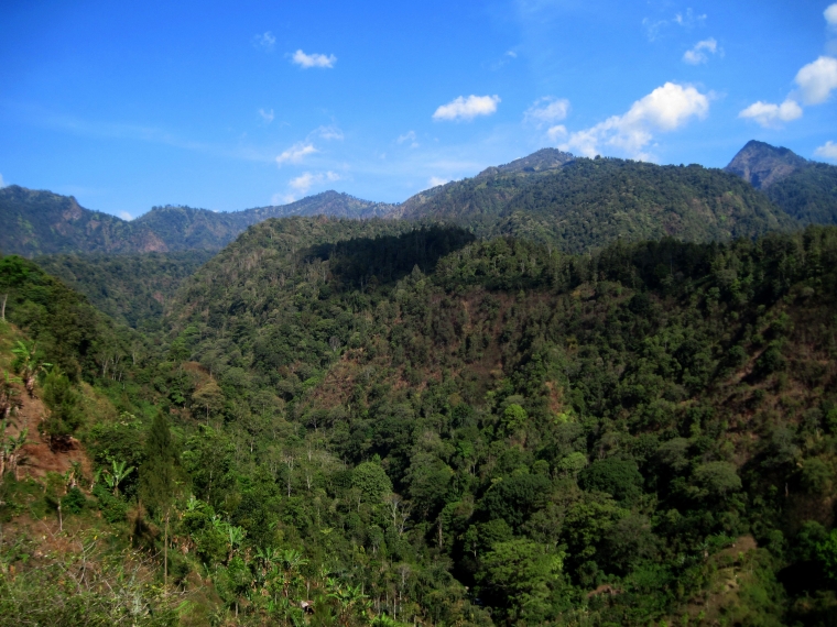 Sunyinya hutan tapi hati Banowati tetap bergolak. Dokpri