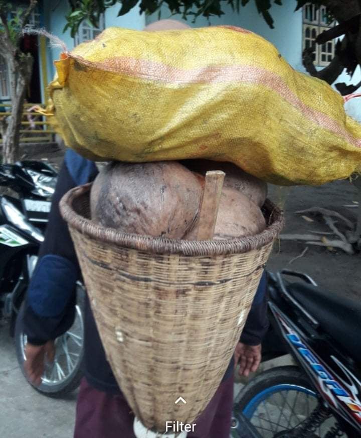 Saloi dengan Muatan Batok Kelapa. Dokpri