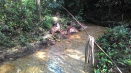 Anak sungai yang jernih di dalam kawasan TNBD. (Foto : Elvidayanty/dok.KKI Warsi)