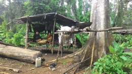 Rumah Orang Rimba di dalam TNBD. (Foto : Elvidayanty/dok.KKI Warsi)