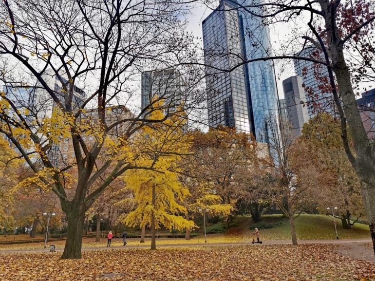 Ilustrasi taman kota. Park, Frankfurt am Main/ Dokpri Hennie Triana. 