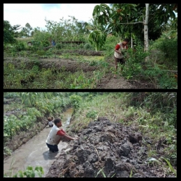 Mace Mama Bibiana, salah seorang penduduk pedalaman Asmat yang sudah berhasil menanam tanamannya sendiri. Dokpri Ignasius Bria